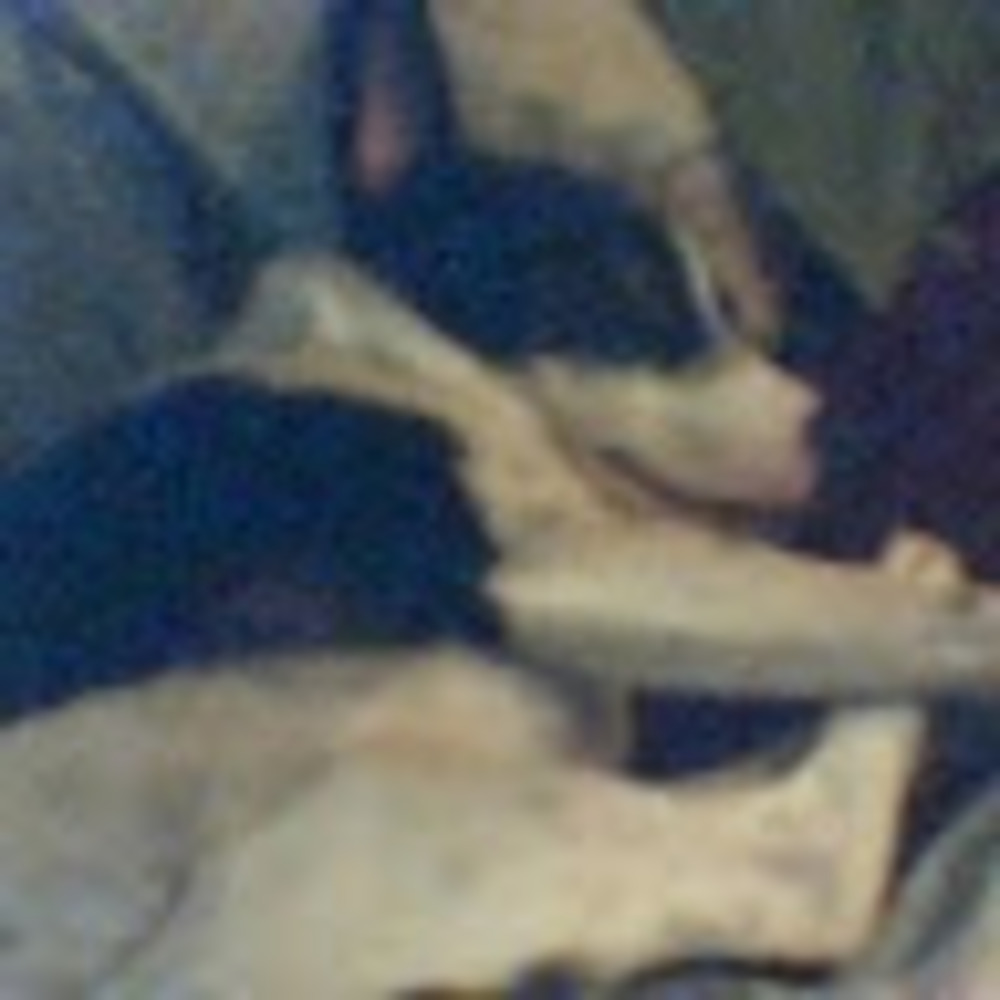 Meet your Posher, Steve